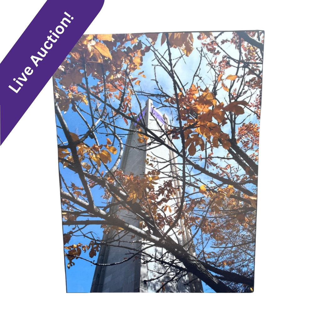 Northwestern Clock Tower Fall Photograph