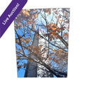 Northwestern Clock Tower Fall Photograph