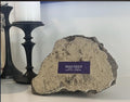 Ryan Field North Tower Small Collectible Fragment