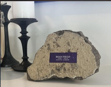 Ryan Field North Tower Small Collectible Fragment